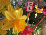 IMG_0112(1)