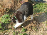 IMG_0049