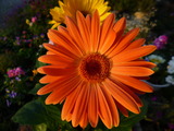 P1250577