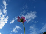 IMG_0033(2)