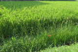 IMG_0065