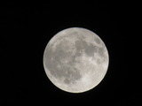 IMG_0152