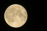 IMG_0019