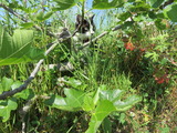 IMG_0042(2)