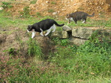 IMG_0032