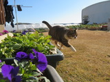IMG_0077(1)