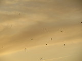 IMG_0023(1)