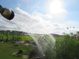 IMG_0005(1)
