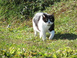 IMG_0088