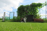 IMG_1791 (1)