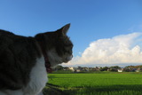 IMG_1906 (1)