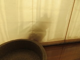 IMG_0006