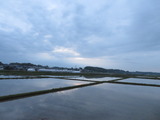 IMG_0001