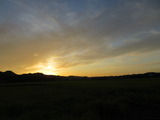 IMG_0022(1)