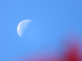 IMG_0075