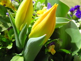 IMG_0008(1)