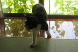 IMG_9308 (1)