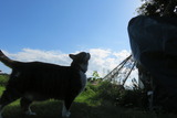 IMG_0012(1)