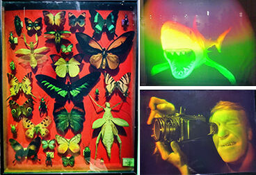 ´ë²èŸ¡Ö¥Û¥í¥°¥é¥à¡×