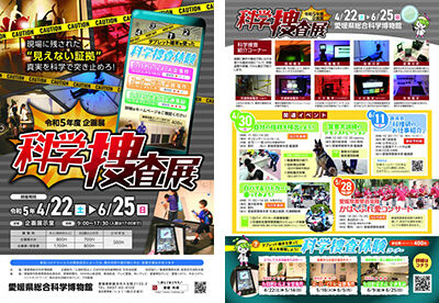 ���Ÿ�ֲʳ��ܺ�Ÿ�ץ��饷