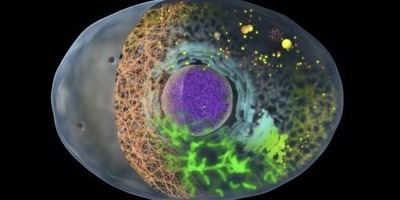 ���Ÿ�֥��Υ��_��˦�Υ��᡼������