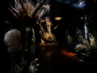 �����ؤ�_��
