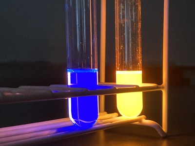 ¥µ¥¤¥¨¥ó¥¹¥·¥ç¡¼¡Öȯ¸÷¡×