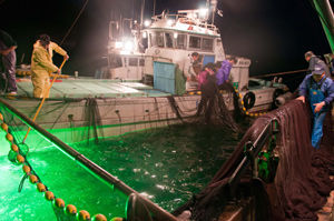 ¸÷¤Çµû¤òÊá¤ëµù¶È