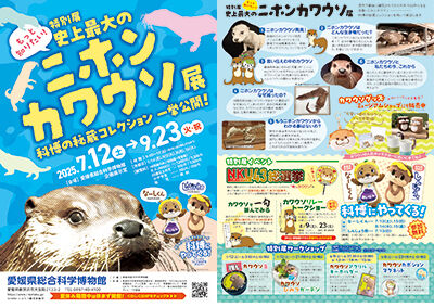 ����Ÿ�֥˥ۥ󥫥復���ץ��饷