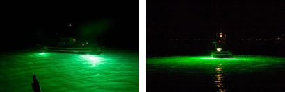 ���Ÿ�ָ��ǵ��������ȡ�