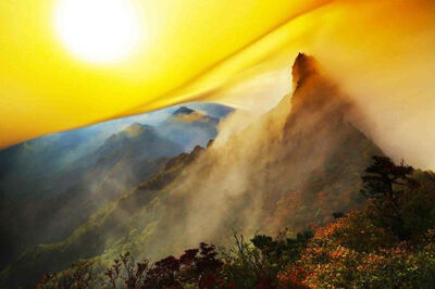 251016_¡Ö¤¤¤·¤Å¤Á¤µ¤óŸ¤ª¤è¤Ó¥³¥ì¥¯¥·¥ç¥ó¡¦¥Ï¥¤¥é¥¤¥È¡×¥×¥ì¥¹¥ê¥ê¡¼¥¹_¥Ú¡¼¥¸_2_²èÁü_0003