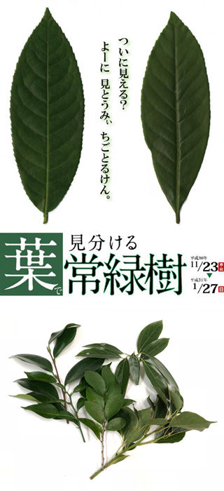 ���м�����320