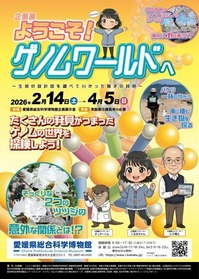 ���Ÿ�֥��Υ�Ÿ�ץ��饷ɽ��_RGB