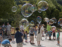 µðÂ祷¥ã¥Ü¥ó¶ÌÂθ³