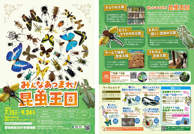 ÆÃÊÌŸ¡Öº«Ã¹ñ¡×