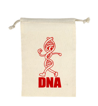 ���Ÿ�֥��Υ�״�ϢWS_���륯�ץ���