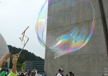 ¤ï¤¯¤ï¤¯¥ß¥å¡¼¥¸¥¢¥à¡¦¥·¥ã¥Ü¥ó¶Ì