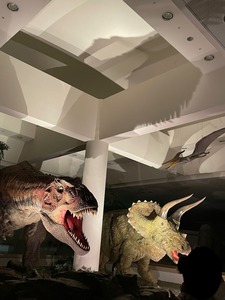 ���ꥹ�ޥ���Ϣ���٥�ȡ��ʥ��ȥߥ塼������