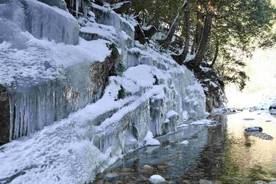 251016_¡Ö¤¤¤·¤Å¤Á¤µ¤óŸ¤ª¤è¤Ó¥³¥ì¥¯¥·¥ç¥ó¡¦¥Ï¥¤¥é¥¤¥È¡×¥×¥ì¥¹¥ê¥ê¡¼¥¹_¥Ú¡¼¥¸_2_²èÁü_0004