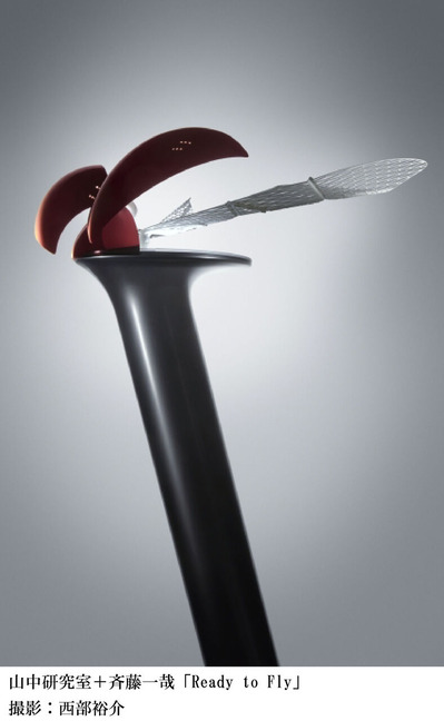 ÆÃÊÌŸ¡Ö̤Íè¤ò¤Ä¤¯¤ë¡×06RTF ¥¥ã¥×¥·¥ç¥óÍ