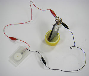 ¥µ¥¤¥¨¥ó¥¹¥·¥ç¡¼