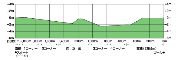 東京芝コース高低断面図（左）