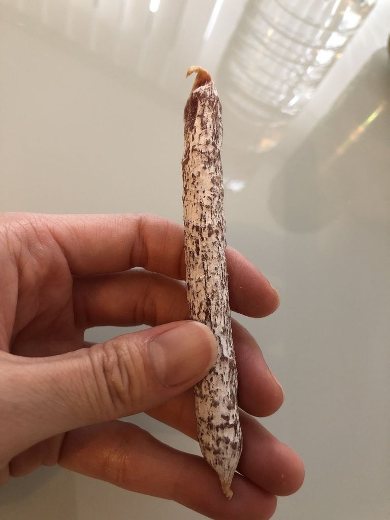 ビールと卑猥な香りの白カビサラミ ついでに穴あきチーズ Marken Discount Netto はっちの蒸し豚