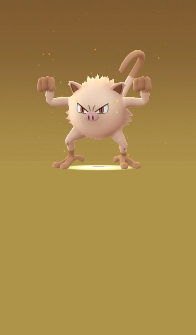 卵の孵化に挑戦する豚 ポケモンgo はっちの蒸し豚