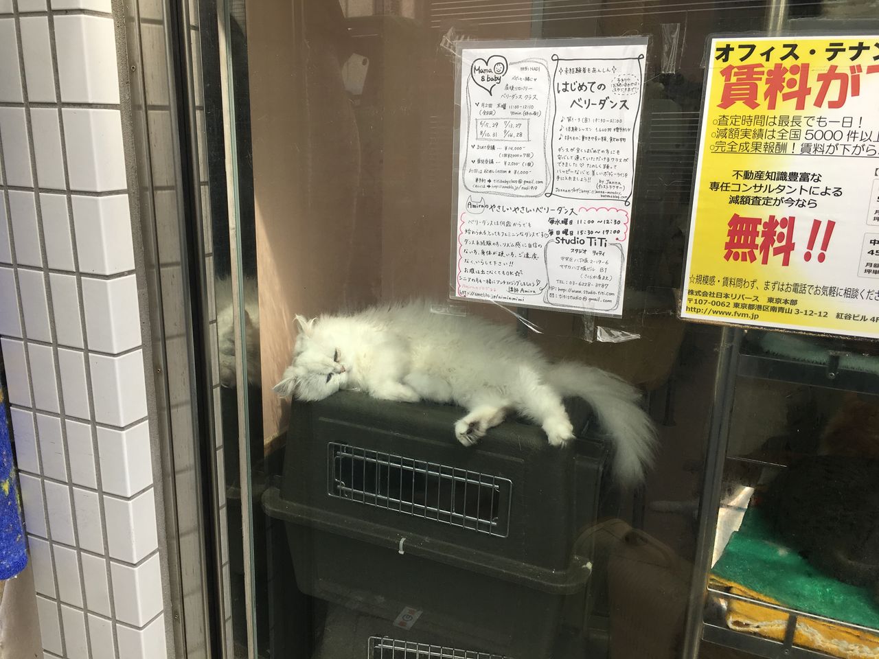 マザー牧場のバニラソフト 東京ドームシティ はっちの蒸し豚 マザー牧場のバニラソフト 東京ドームシティ はっちの蒸し豚