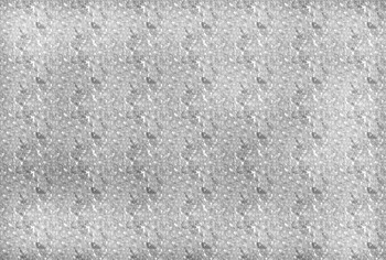 TEXTURE£²Ï»æ