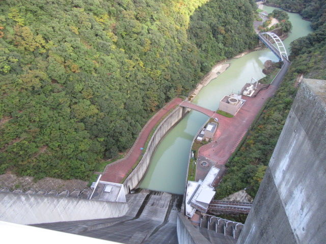 昆虫フォト 緑の小さいクモが 巣を作っていた バイブレント昆虫写真 New 昆虫フォト 緑の小さいクモが 巣を作っていた バイブレント昆虫写真 New