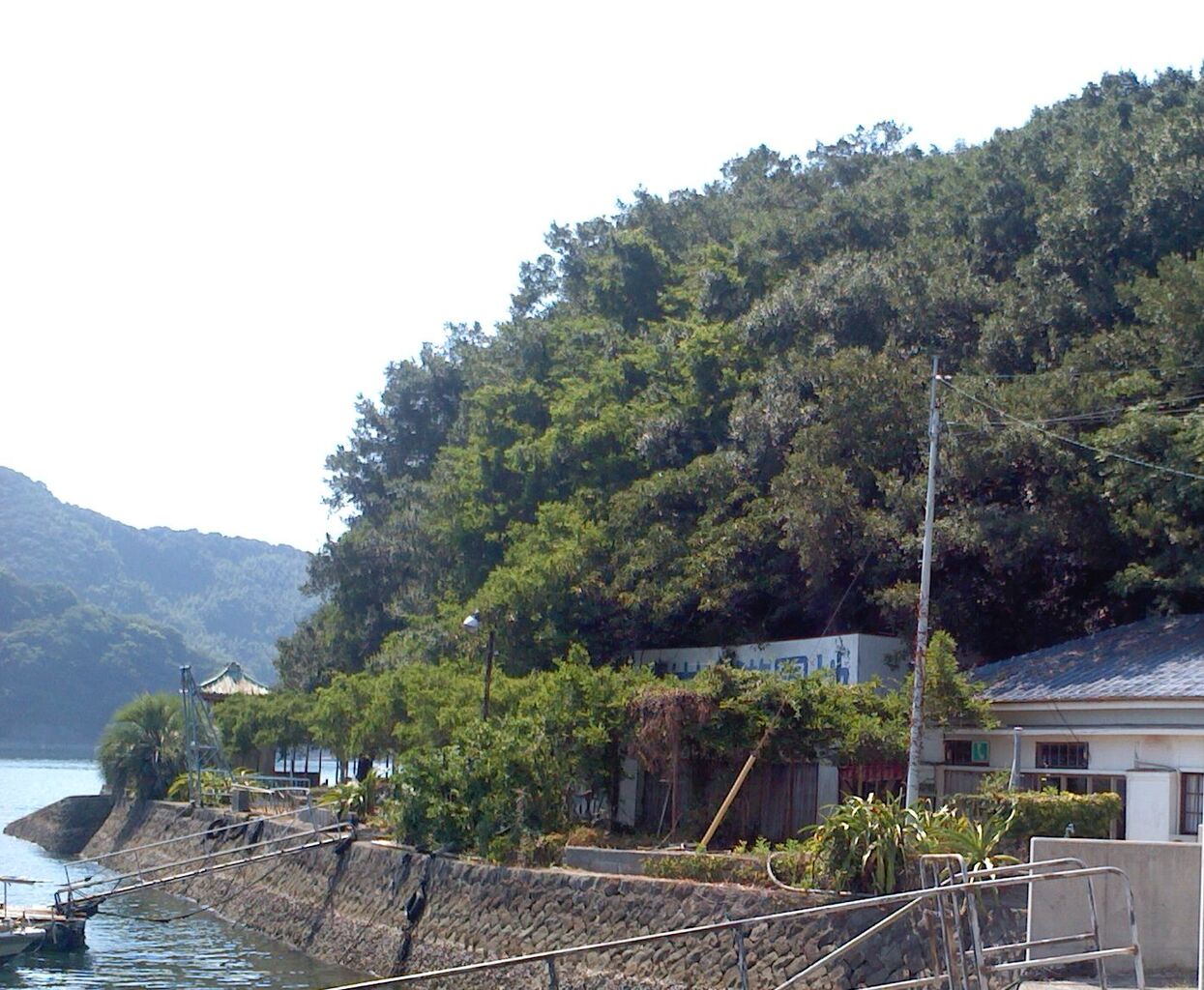 津島町 もく兵衛 宇和島市 赤松遊園地 悠々として急ぎたい 津島町 もく兵衛 宇和島市 赤松遊園地 悠々として急ぎたい