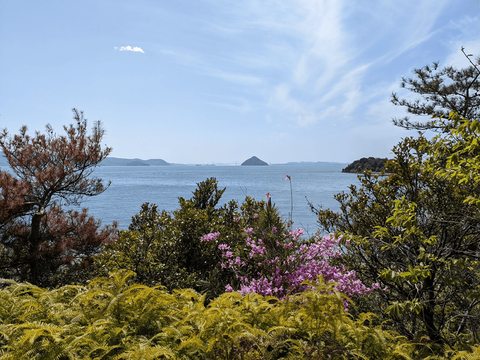 naoshima