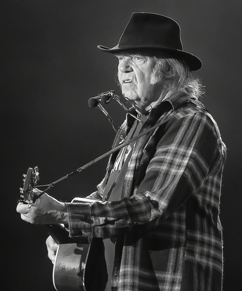 Neil_Young_Stavernfestivalen_2016_(220929)